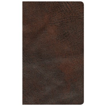 CSB Reader's Bible Brown Genuine Leather - Holman